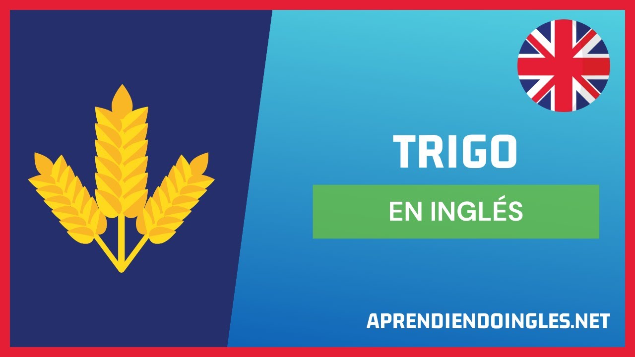 como se dice trigo en inglés