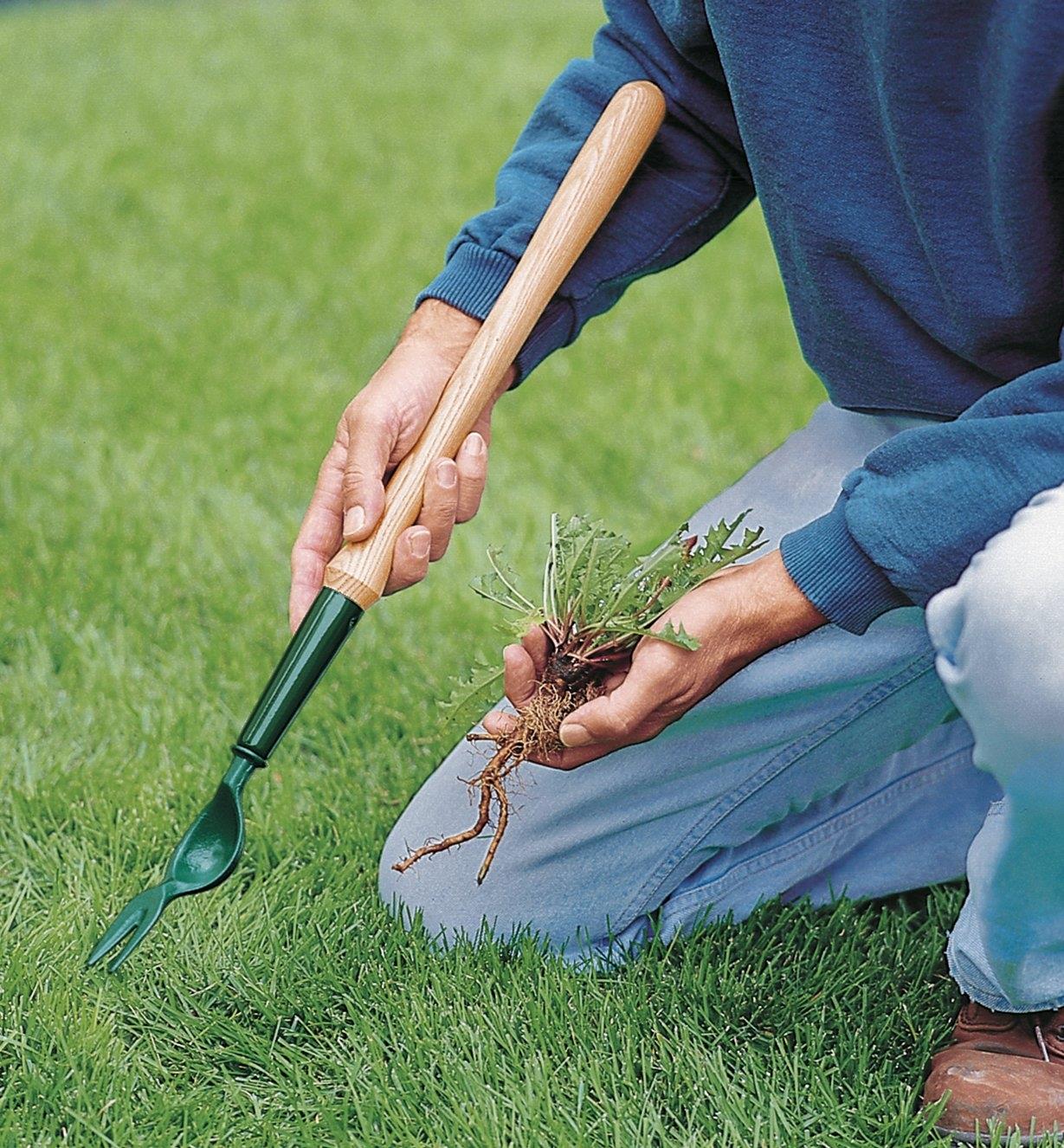 dandelion tool