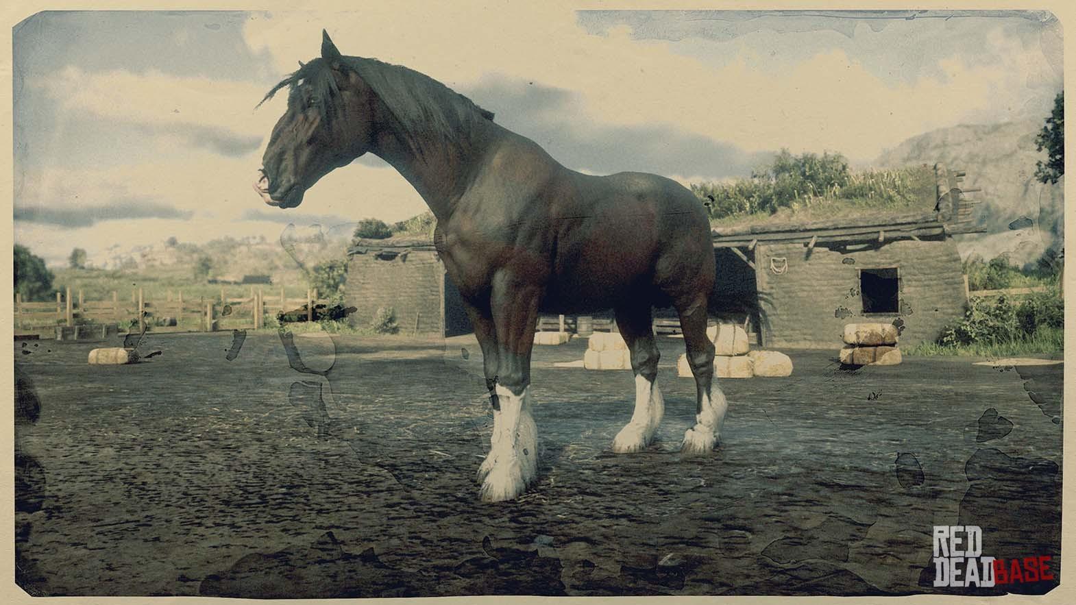 rdr2 big horses