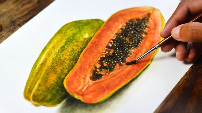 realistic papaya drawing