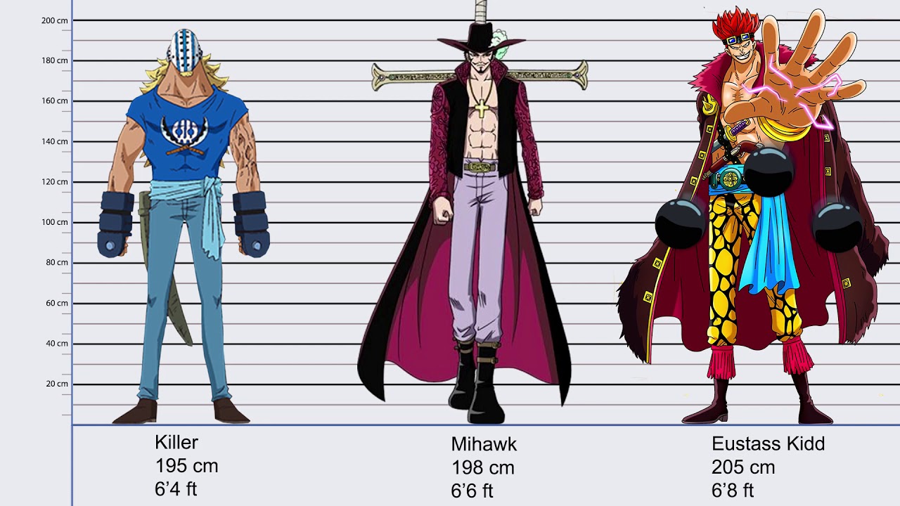 how tall is monkey d luffy