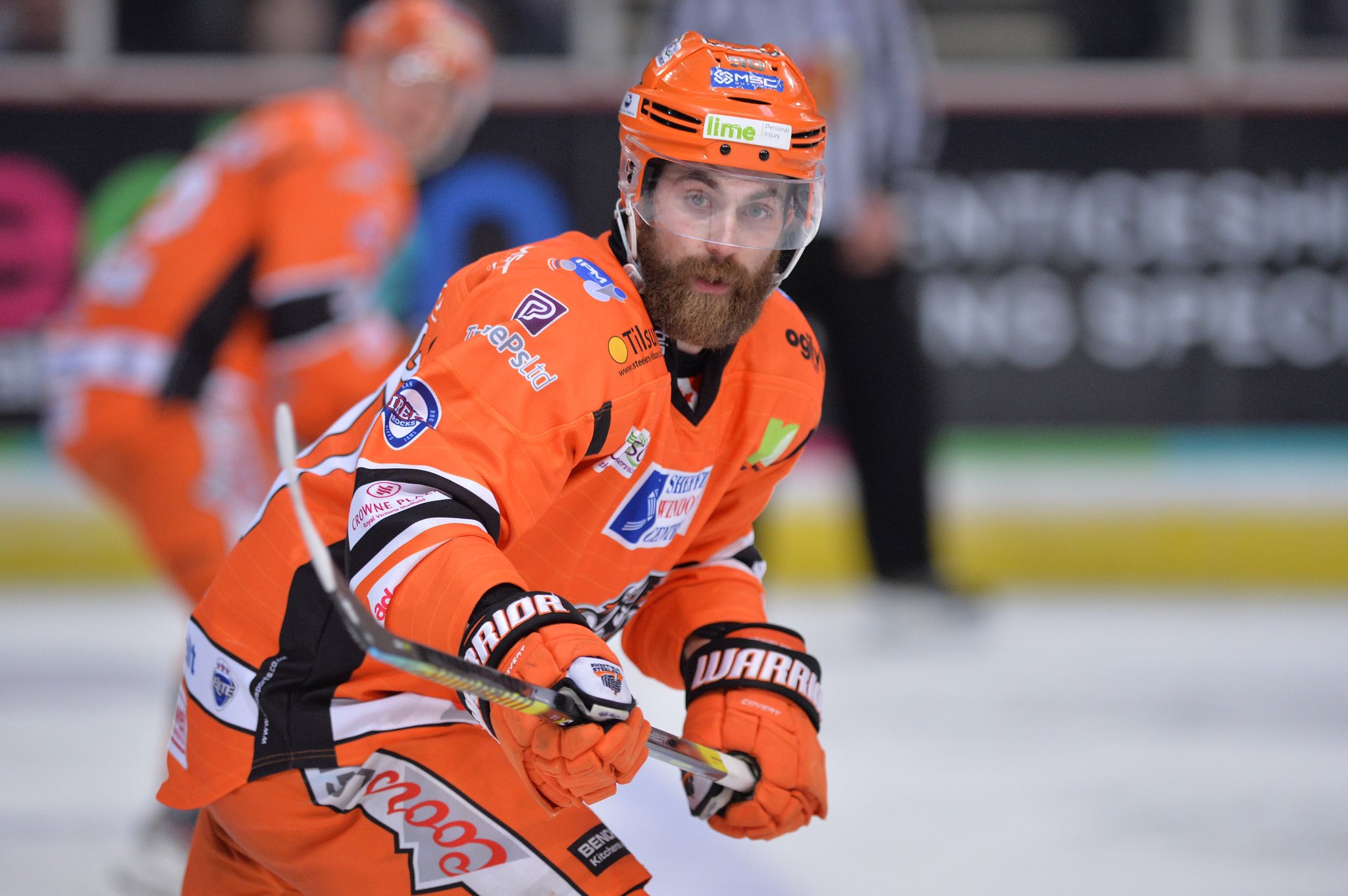 sheffield steelers twitter