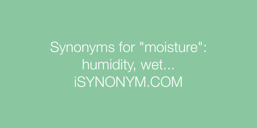 moisture synonym