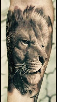 lion of the tribe of judah tattoo
