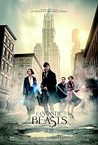 fantastic beasts and where to find them imdb