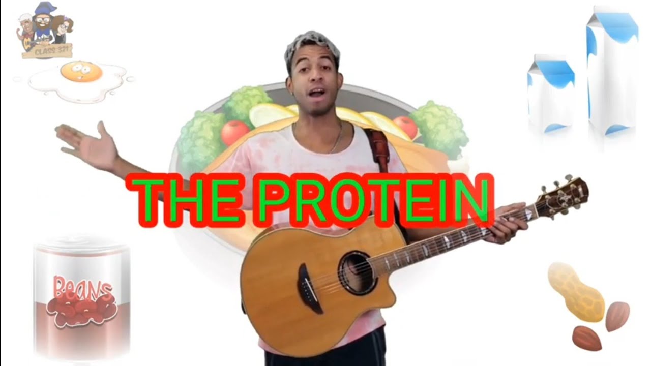 where do you get your protein song