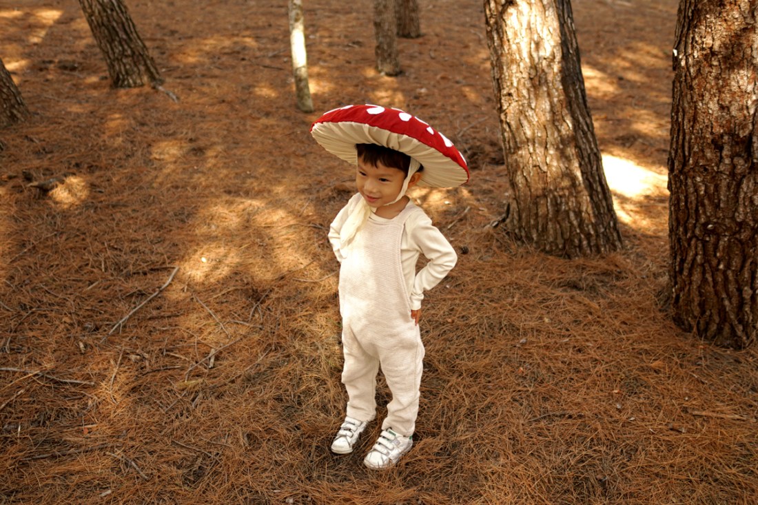 mushroom fancy dress