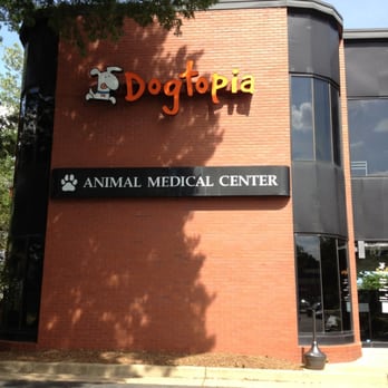 herndon animal medical center