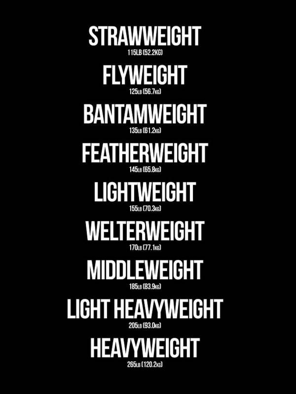 all ufc weight class