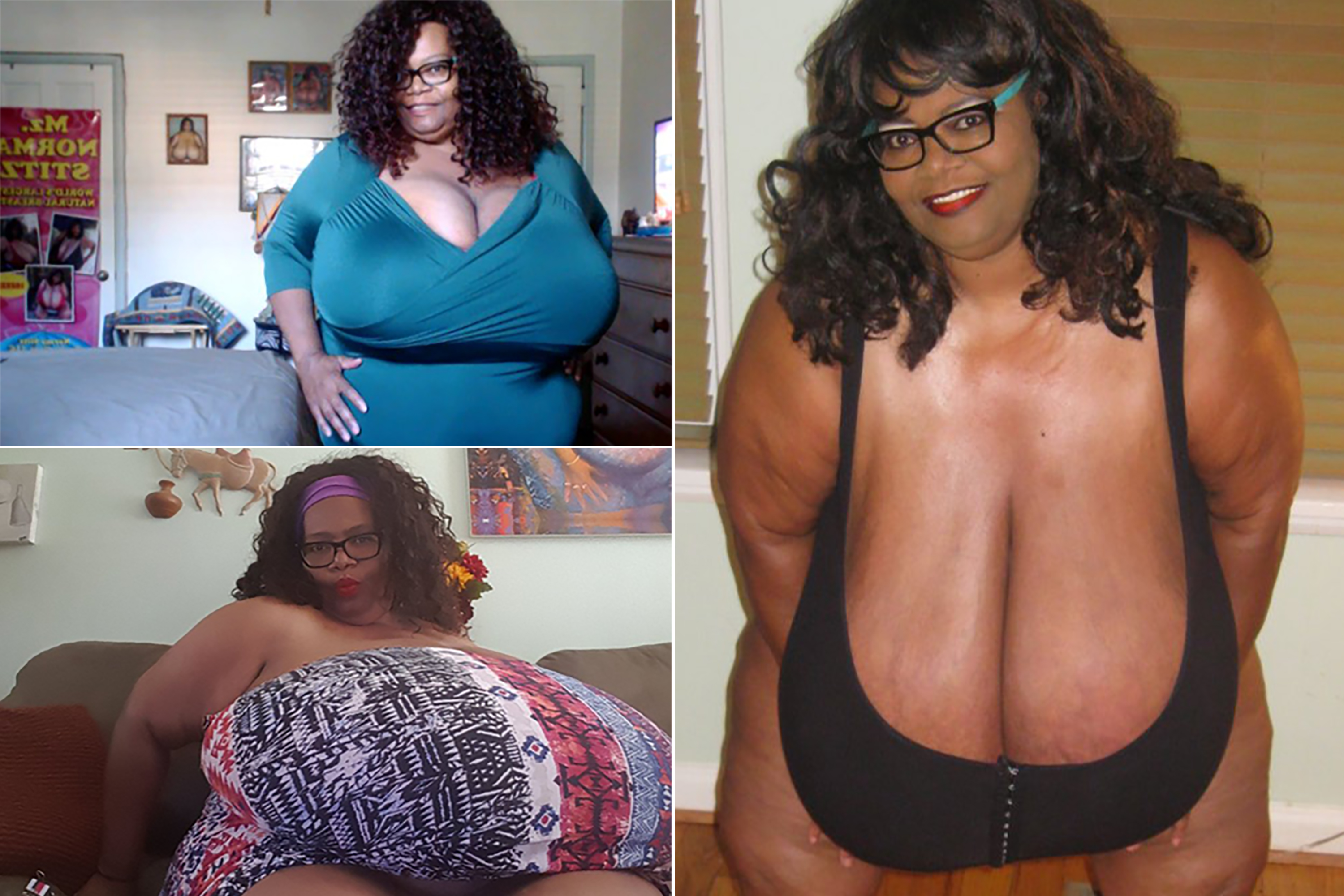 norma stitz alan turner