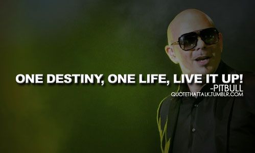 quotes from pitbull