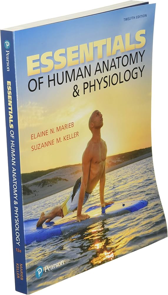 marieb essentials of human anatomy and physiology