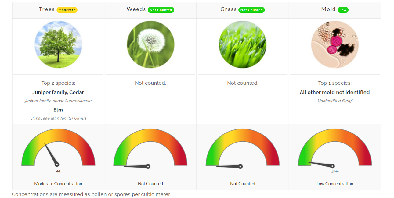 pollen count in bloomington il