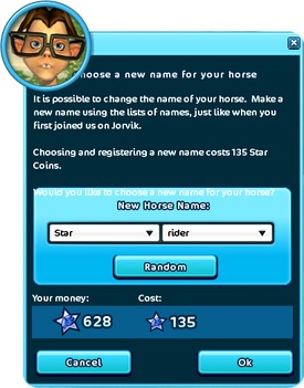 can you change your name in star stable