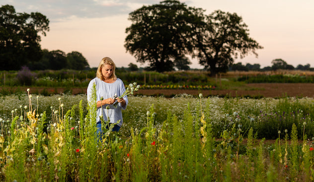 the southwold flower company