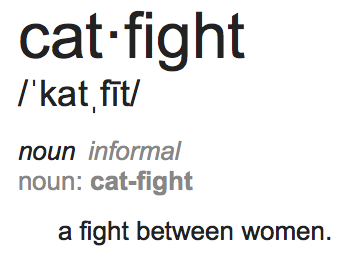 cat fight meaning