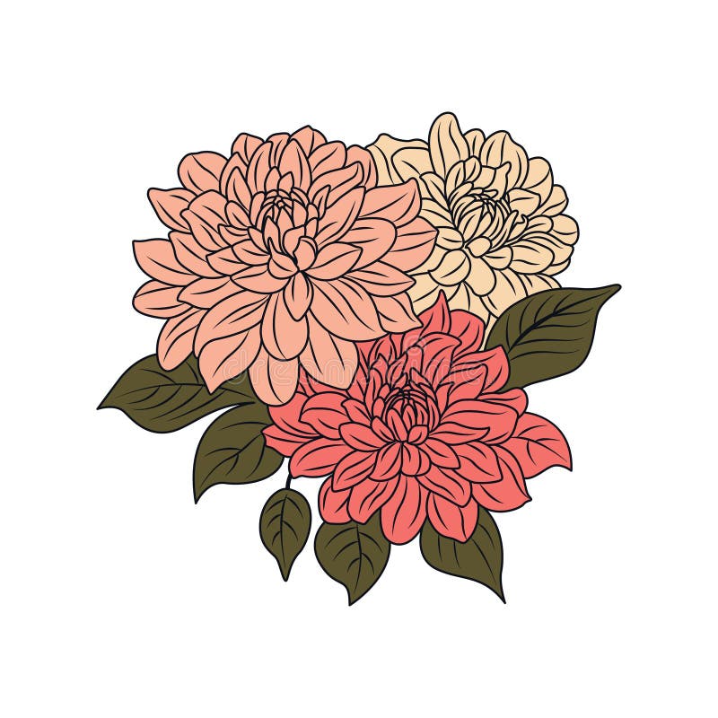 dahlia flower vector