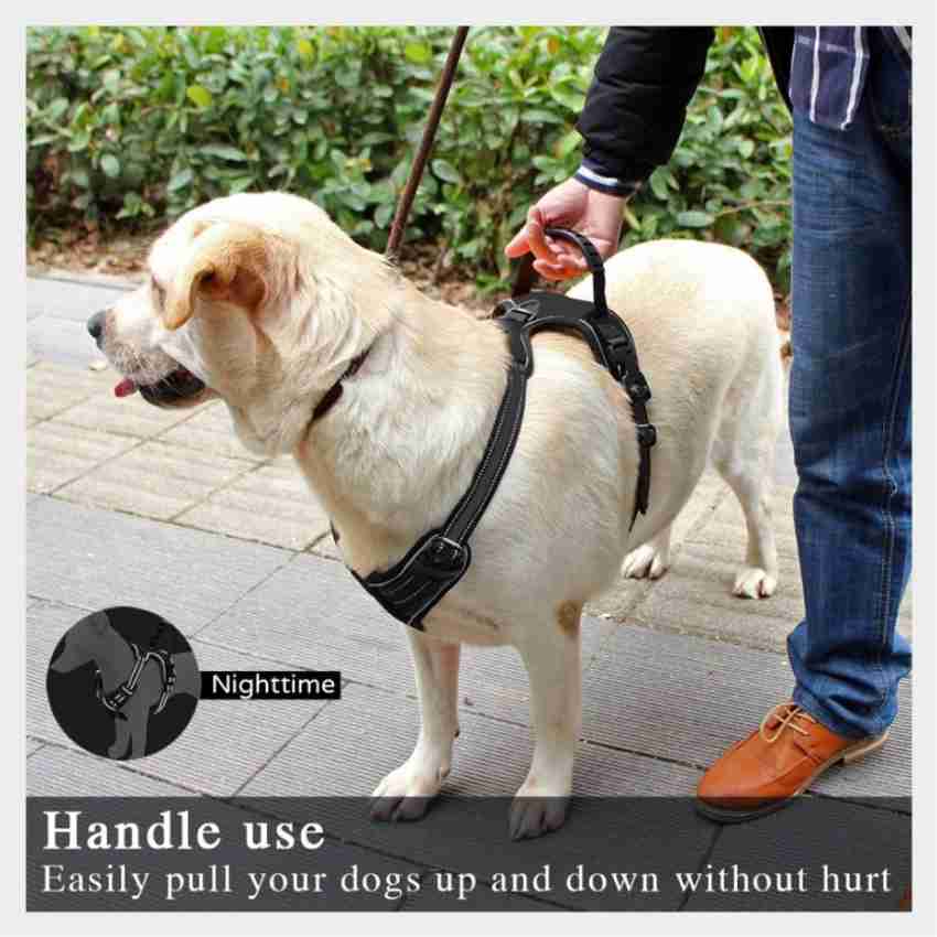 lab dog body belt