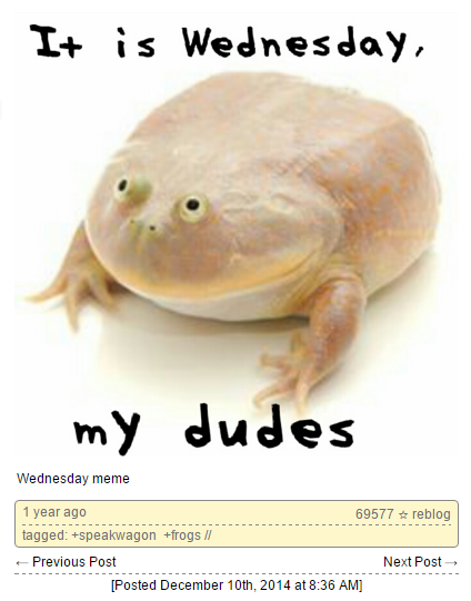 its wednesday my dudes frog