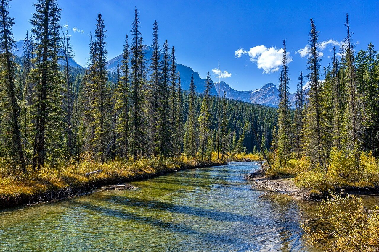 el tiempo en jasper