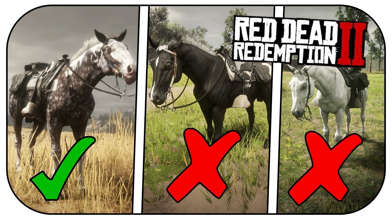 how to get missouri fox trotter rdr2