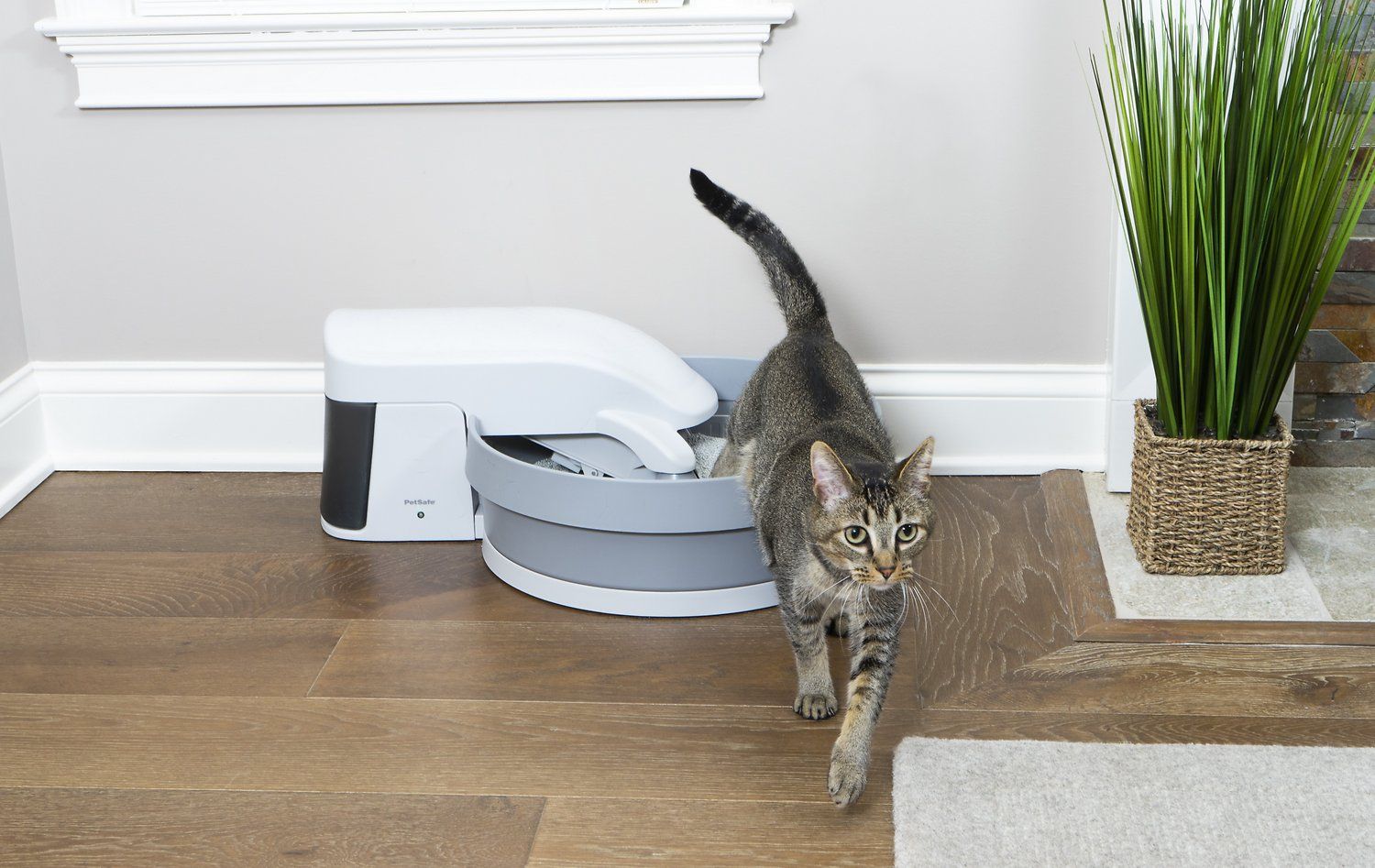 best automatic cleaning litter box