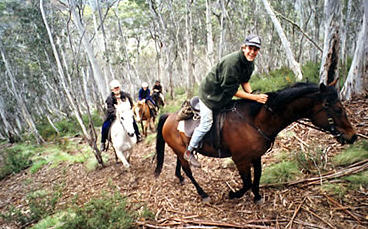 packers high country horse riding