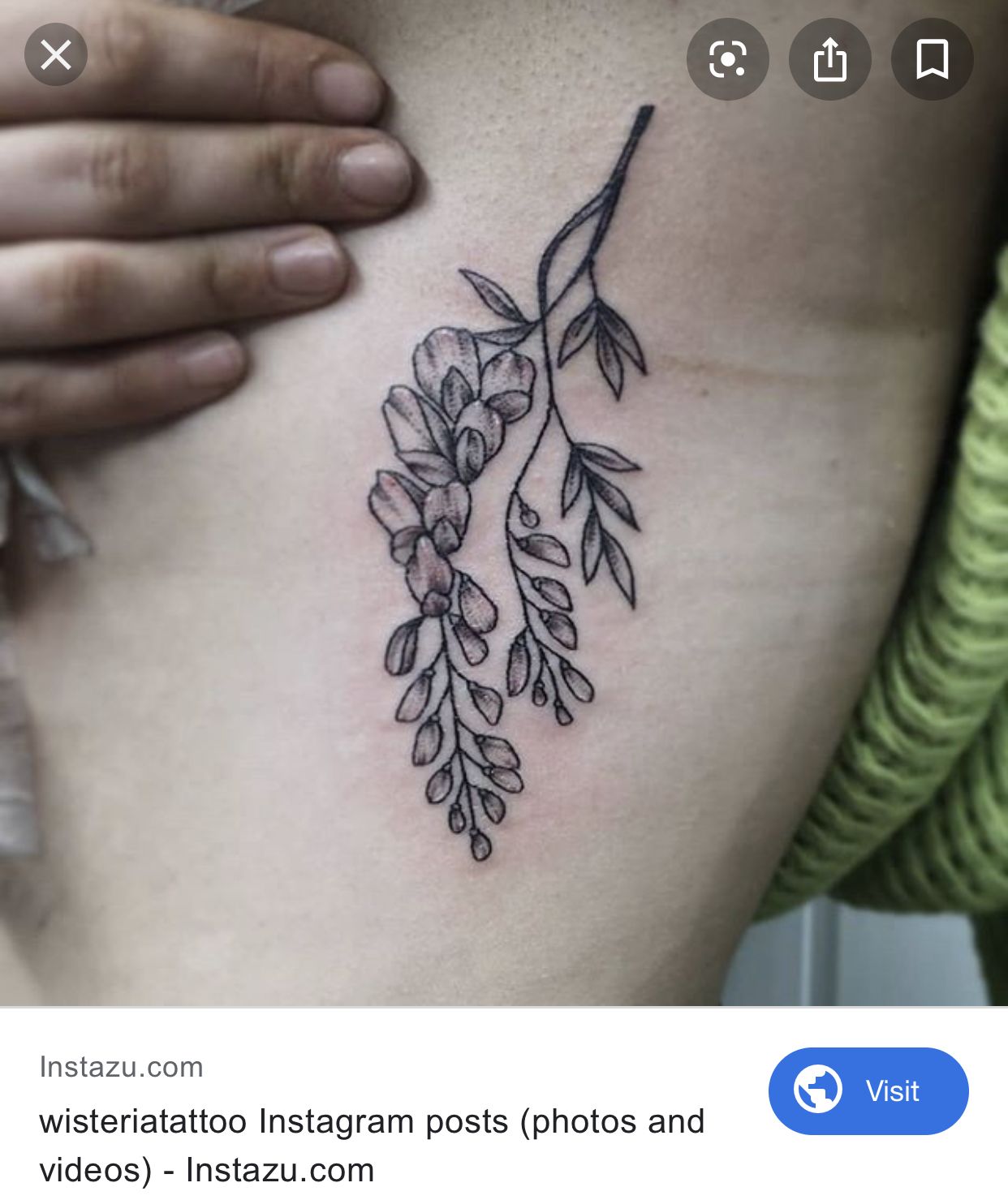 wisteria tattoo