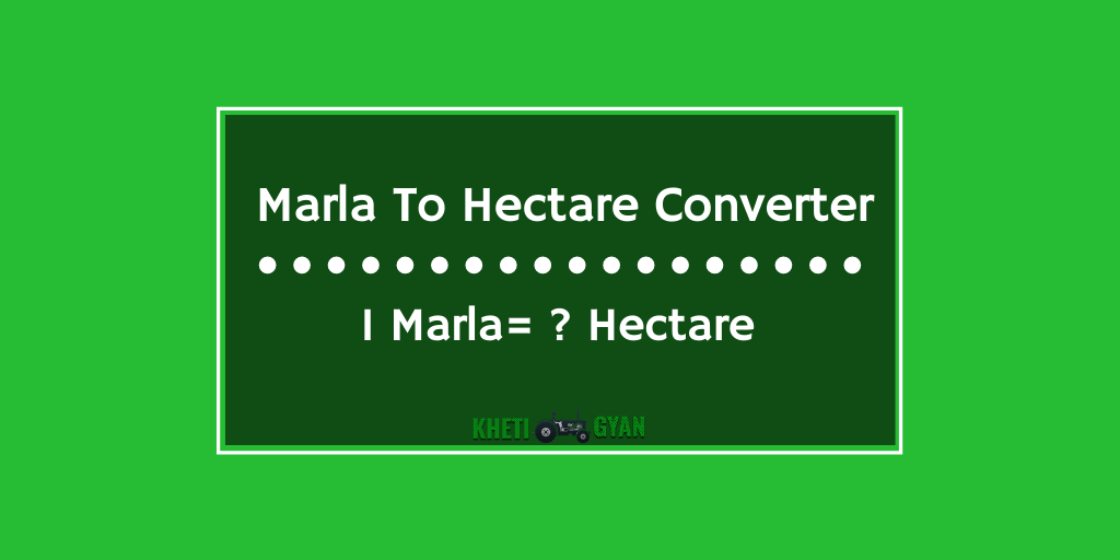 1 hectare to marla