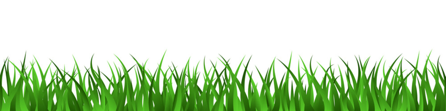 cartoon grass drawing