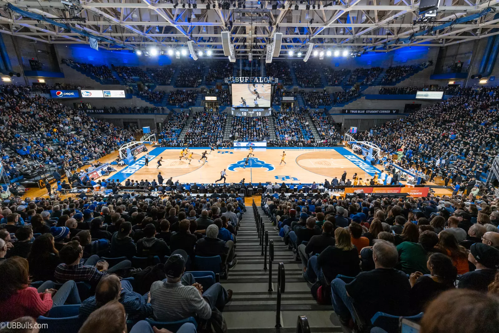 ub bulls basketball