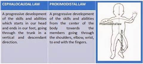 cephalocaudal and proximodistal