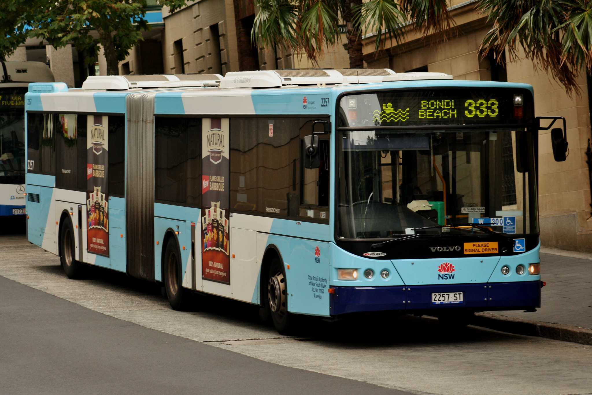 333 bus route sydney