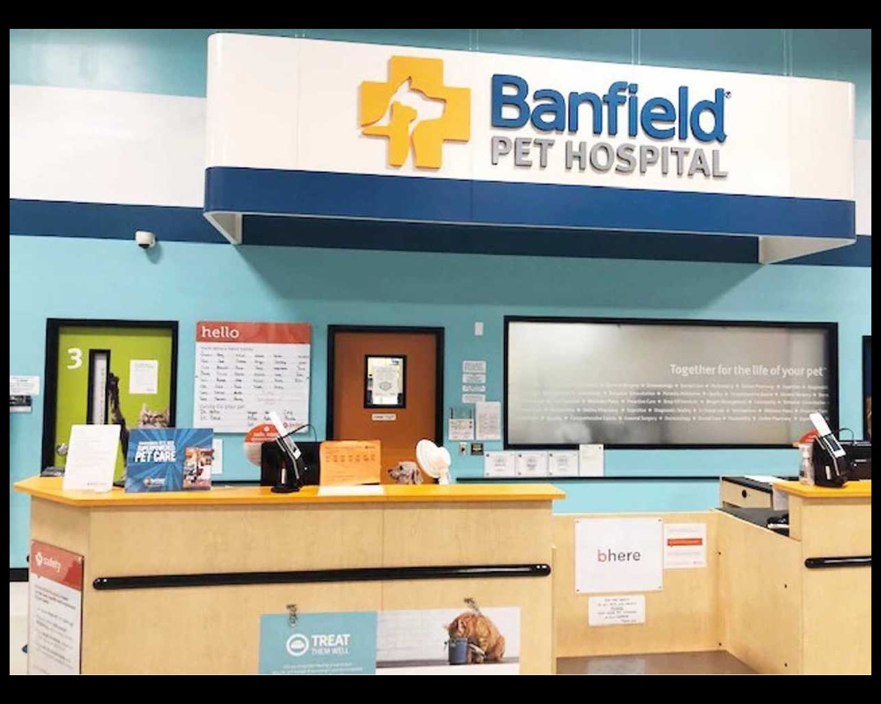 banfield near me