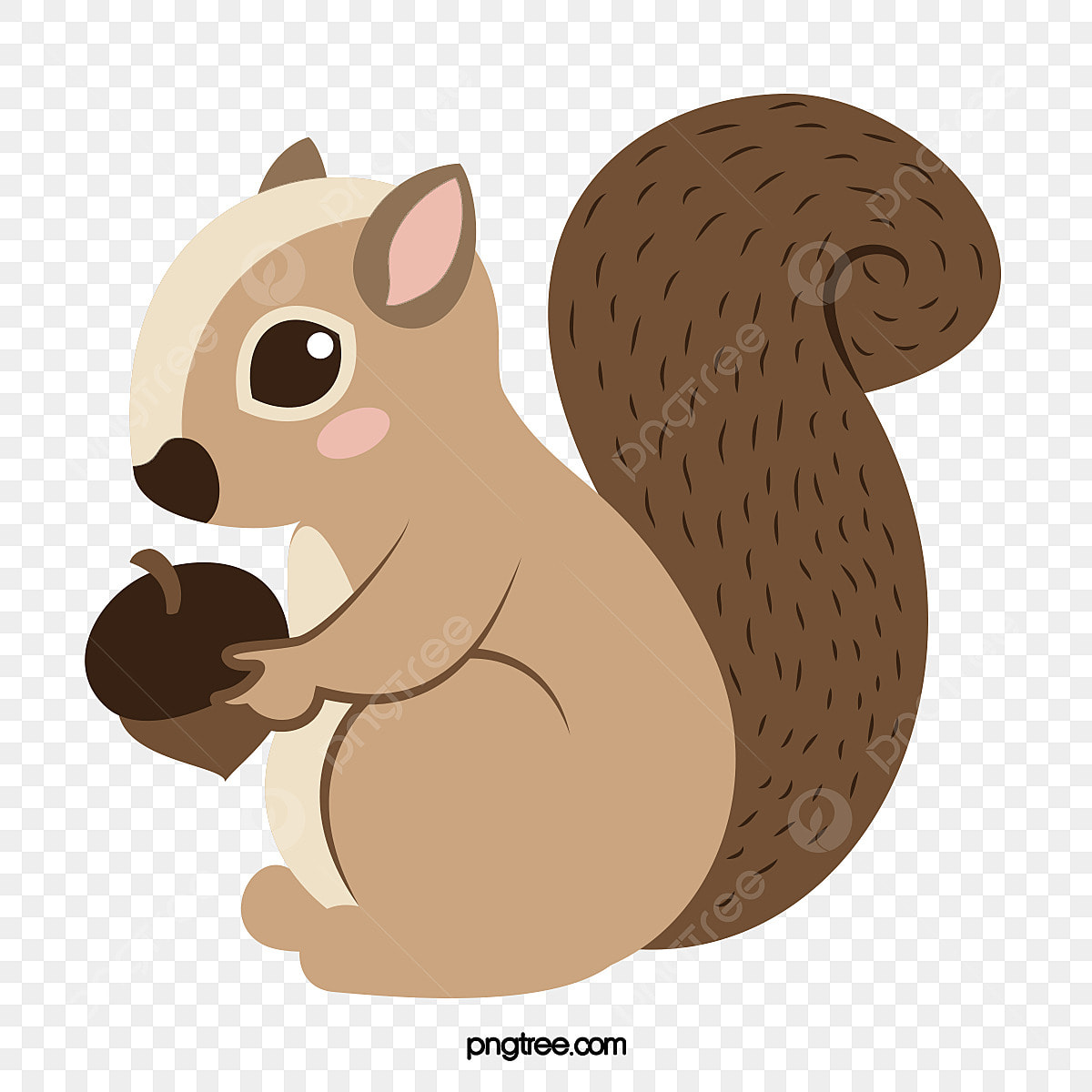 squirrels clipart