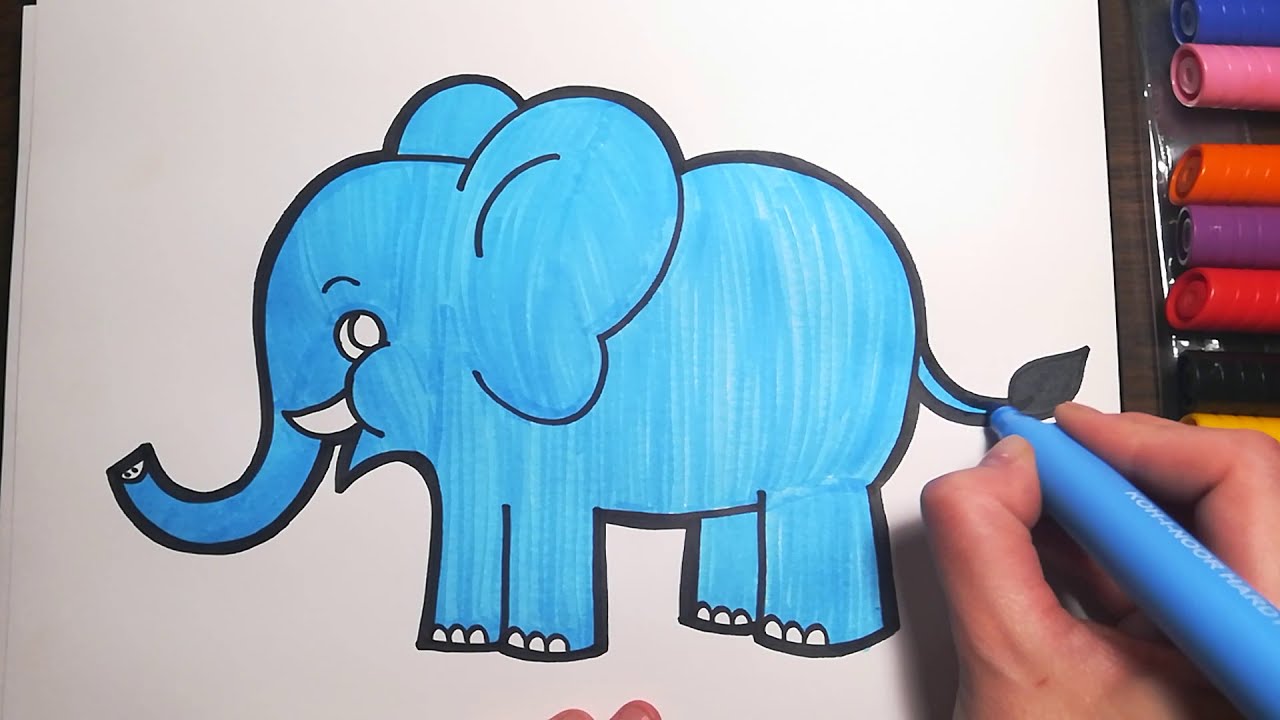 elephant color drawing