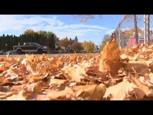 leaf collection missoula