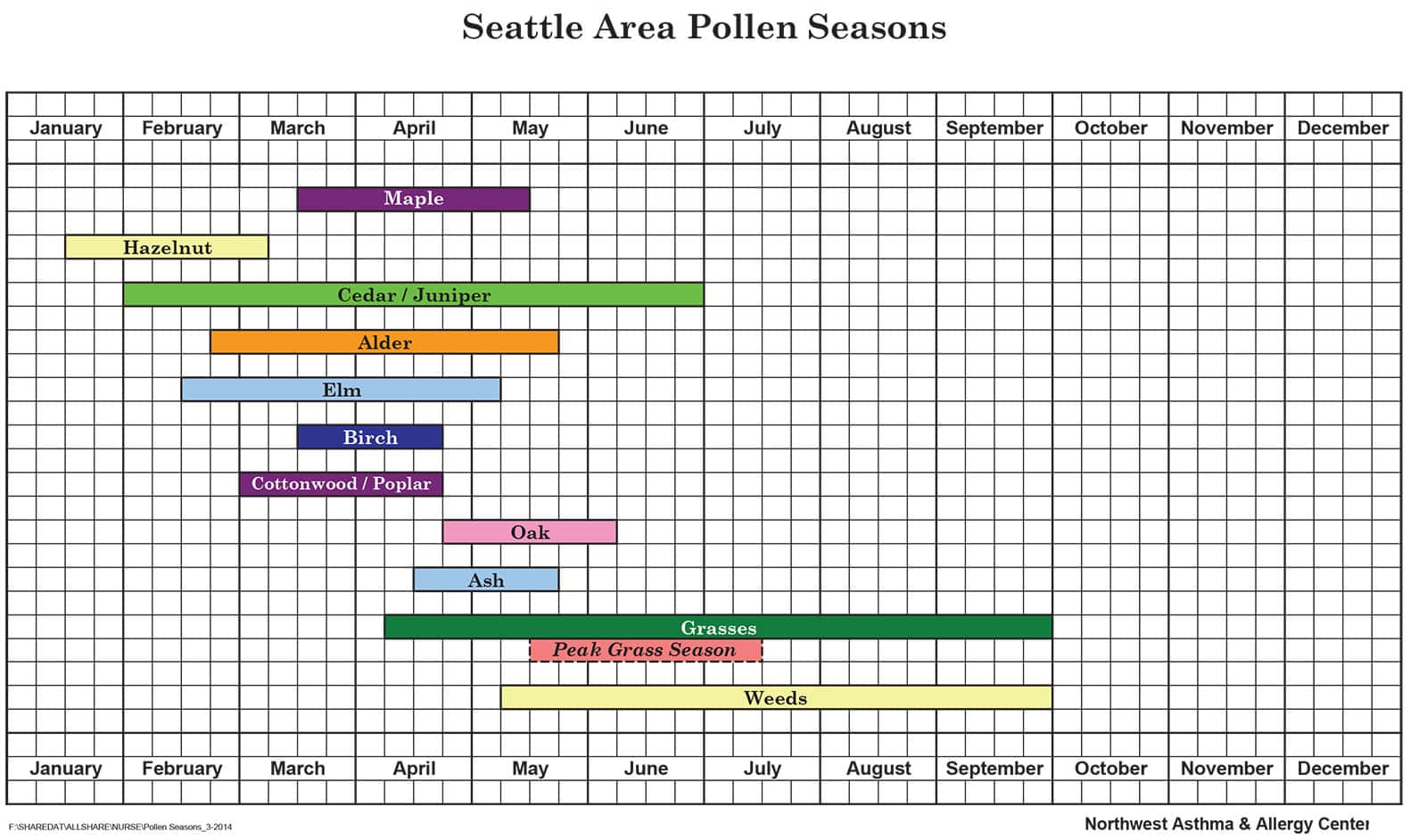 tree pollen count