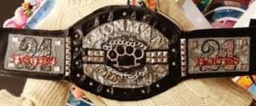 ddt ironman heavymetalweight championship