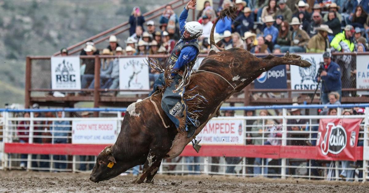 prca pro rodeo standings