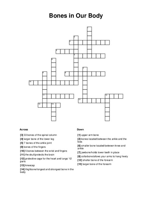 any of 12 spinal bones crossword clue