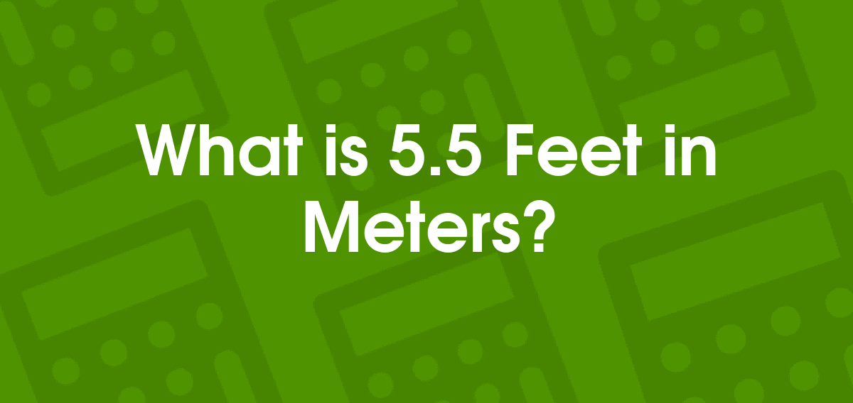 5.5feet in meters