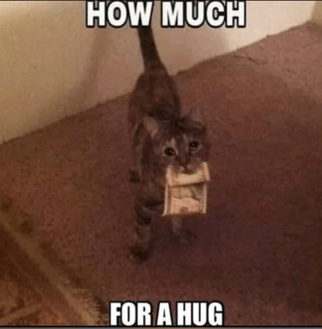 funny hug meme