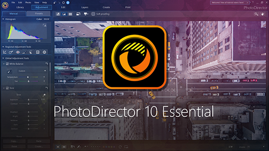 photo director essential