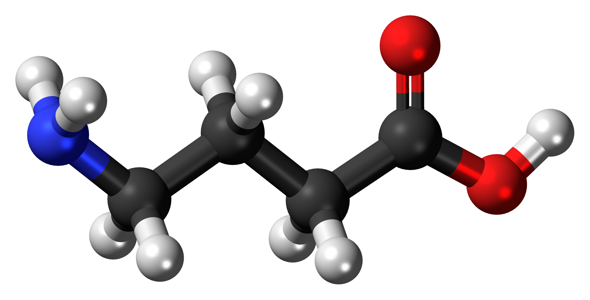 aminobutyric