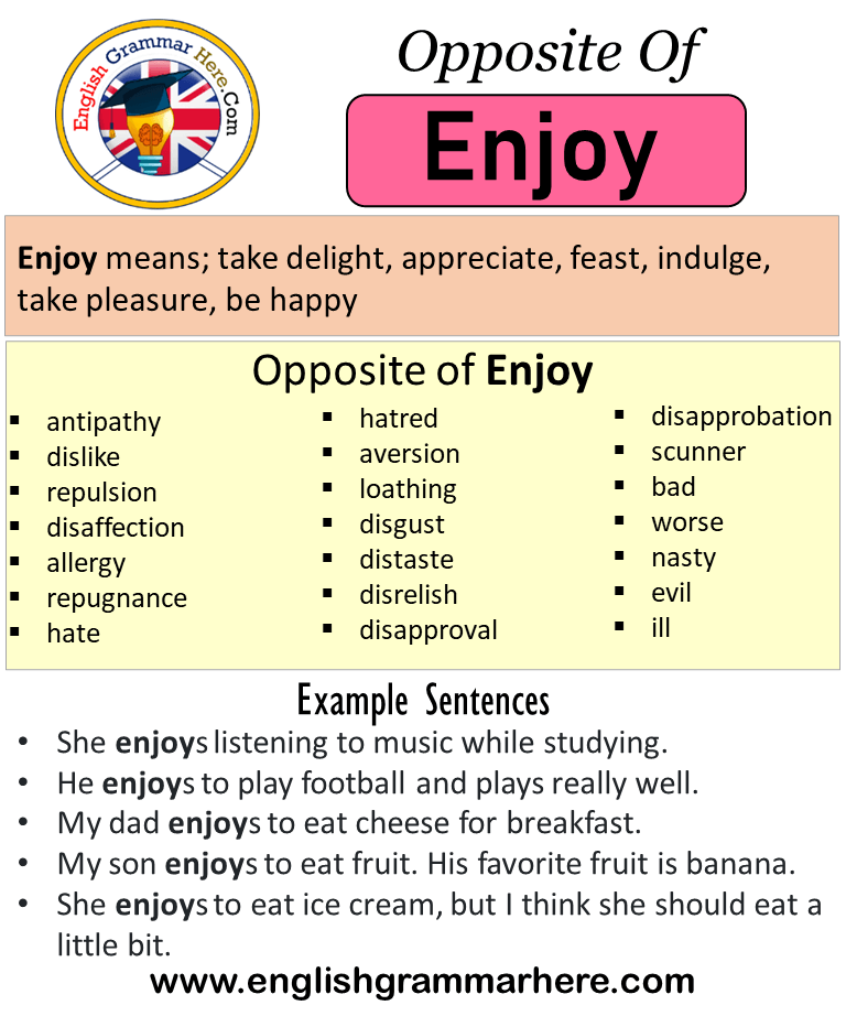 other words for enjoyed