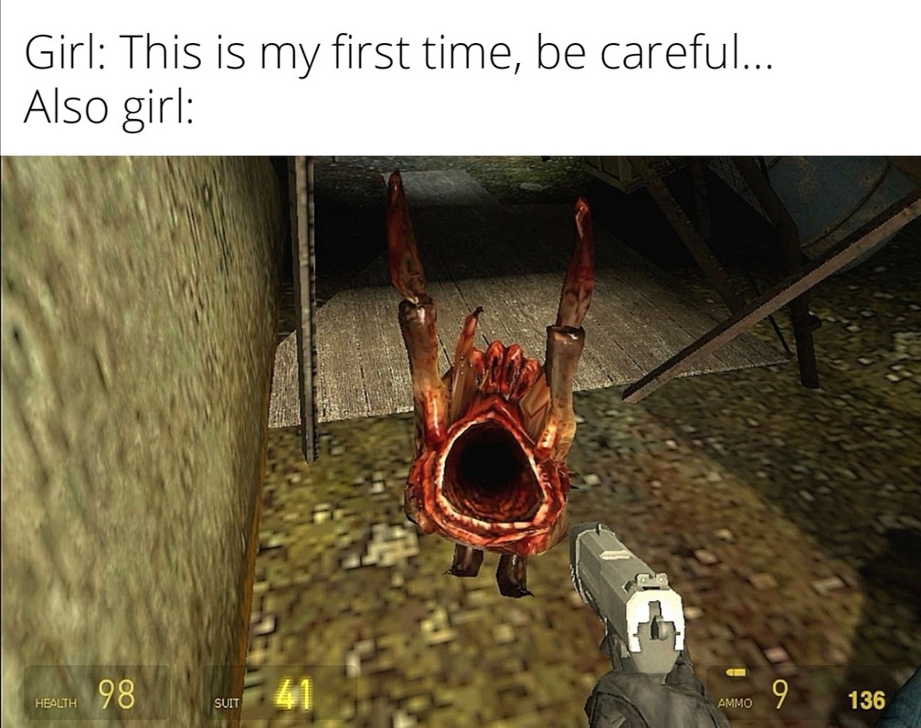 half life 2 memes