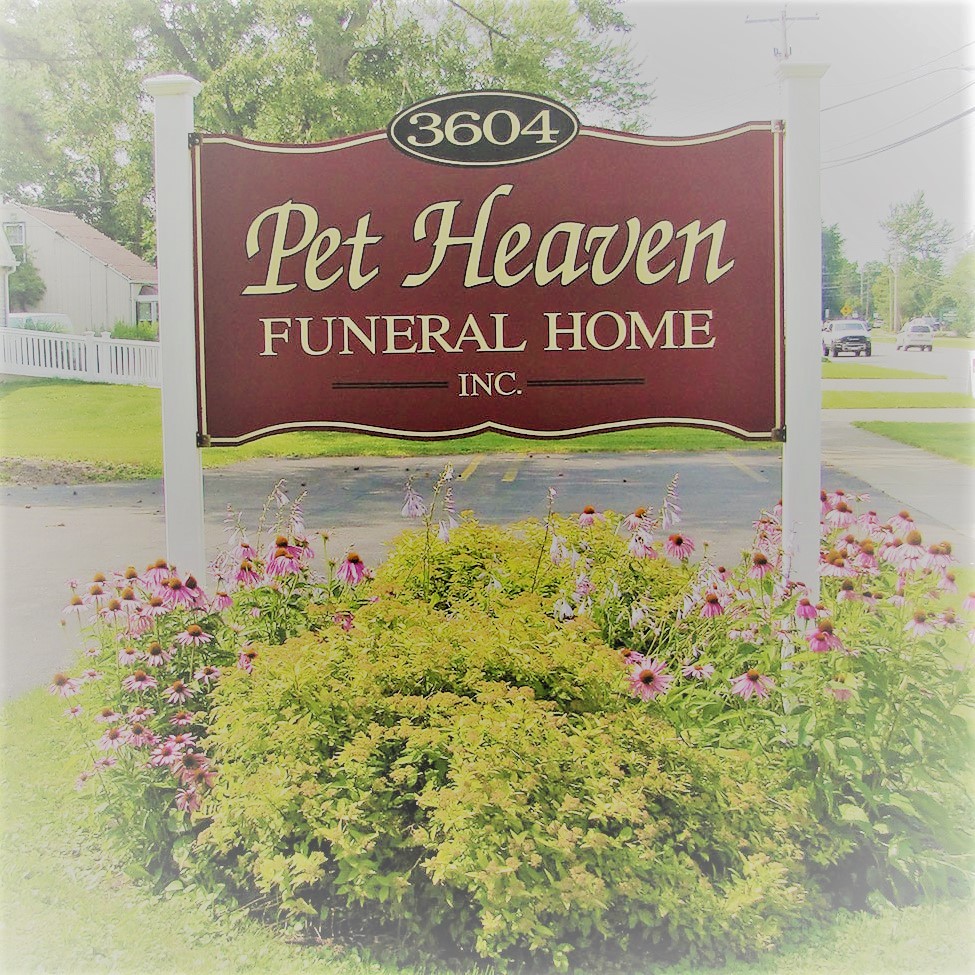 pet heaven orchard park ny