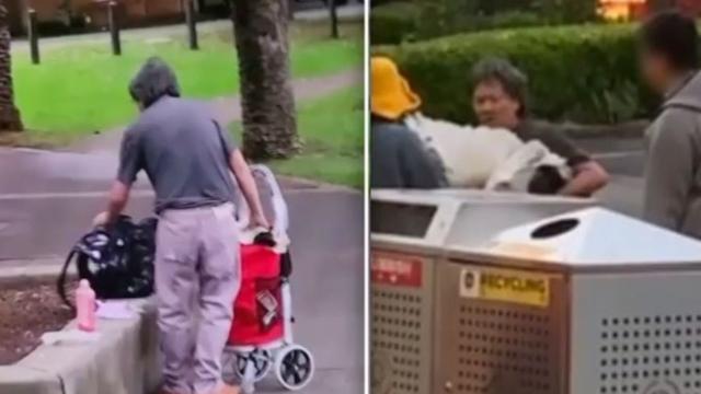 man eats bin chicken