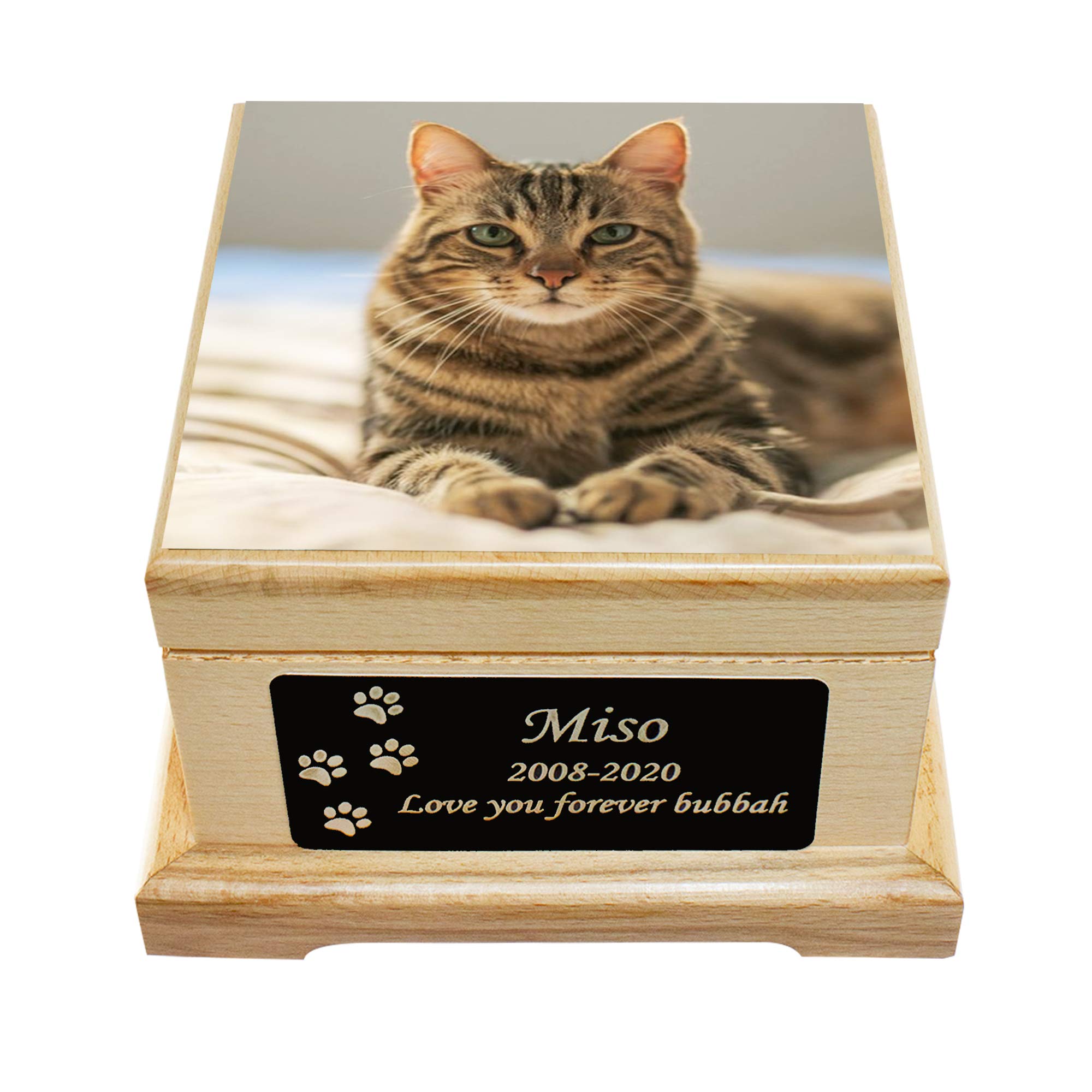 cat urns for ashes